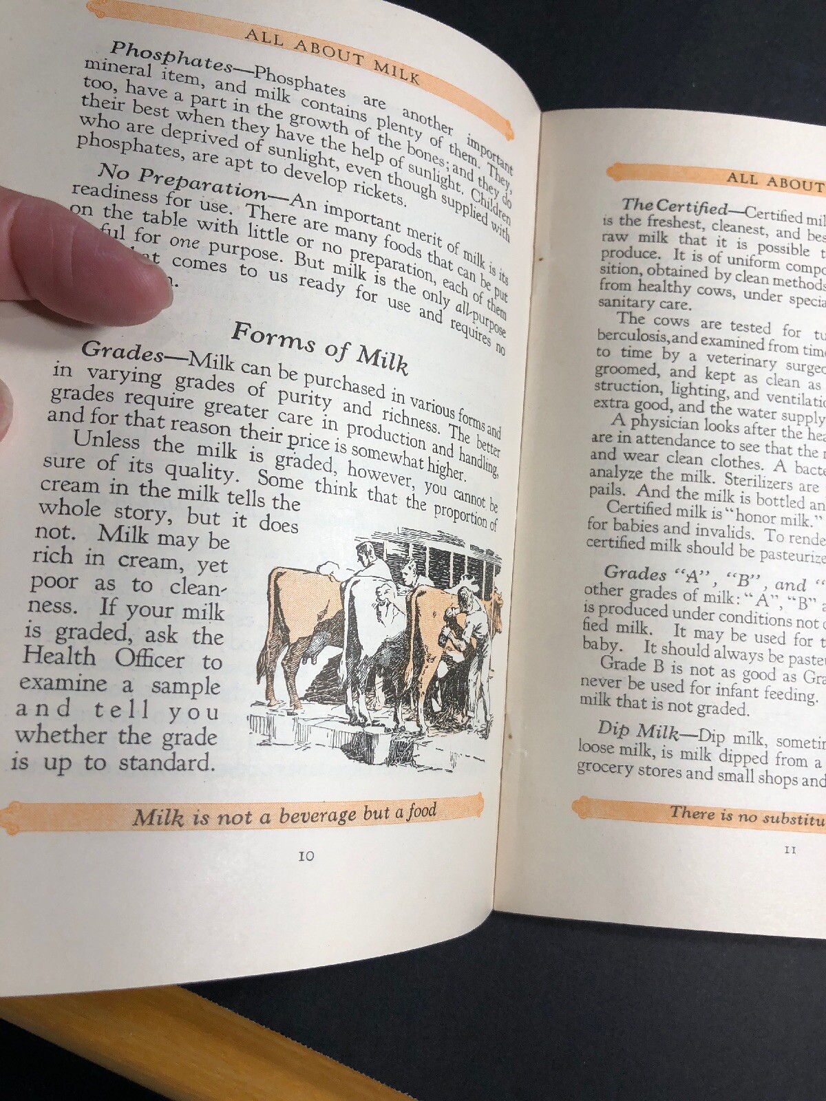 Booklet 1925 All About Milk Cow Farm Kids Agricultural Farming Graphics MINTY