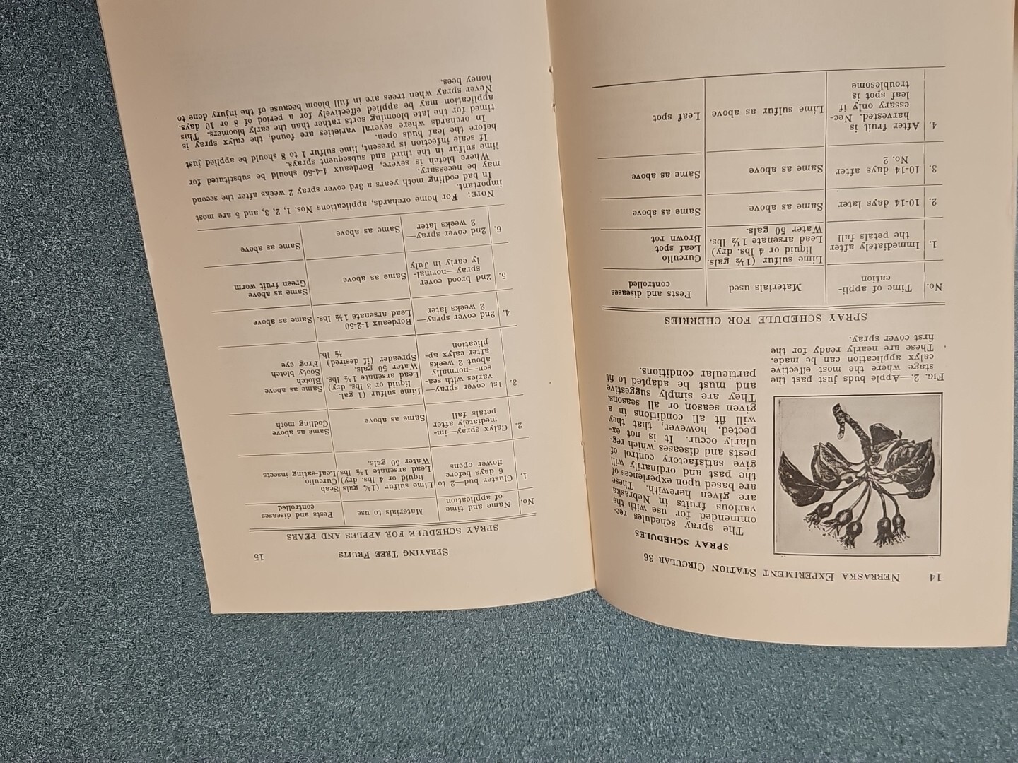 University of Nebraska Booklet Spraying Tree Fruits 1932