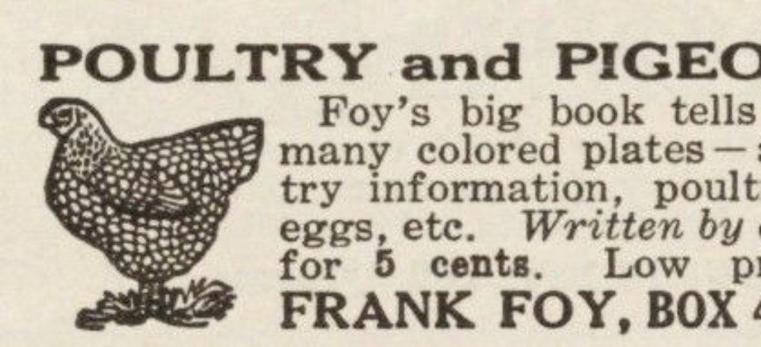 Foys Poultry & Pigeons Big Book Vintage Print Ad 1917 Clinton Iowa u Original