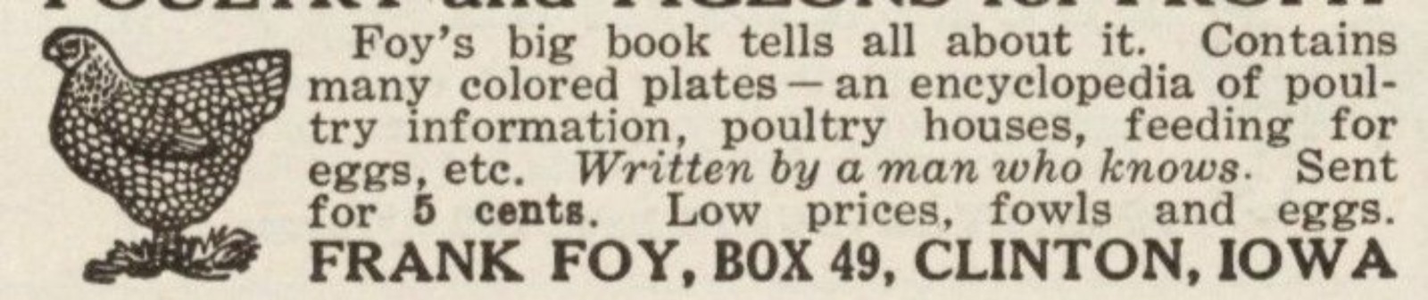 Foys Poultry & Pigeons Big Book Vintage Print Ad 1917 Clinton Iowa u Original