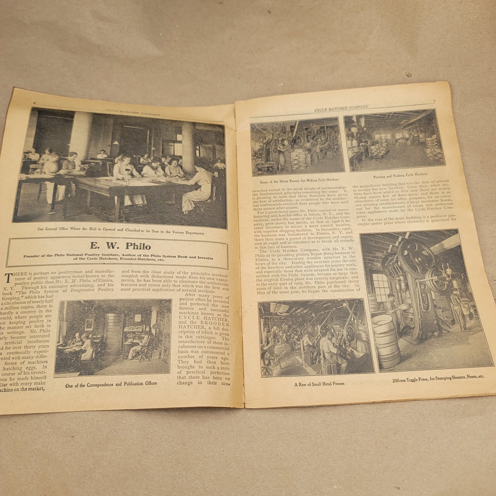 1912 Poultry Profits Philo System Cycle Hatcher Company Chicken