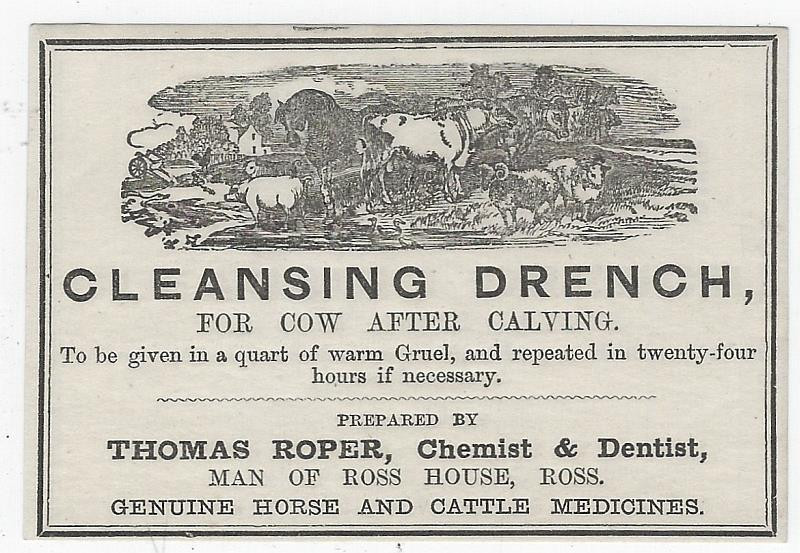 Cleansing Drench Cow After Calving Label Thomas Roper Chemist Dentist Cattle