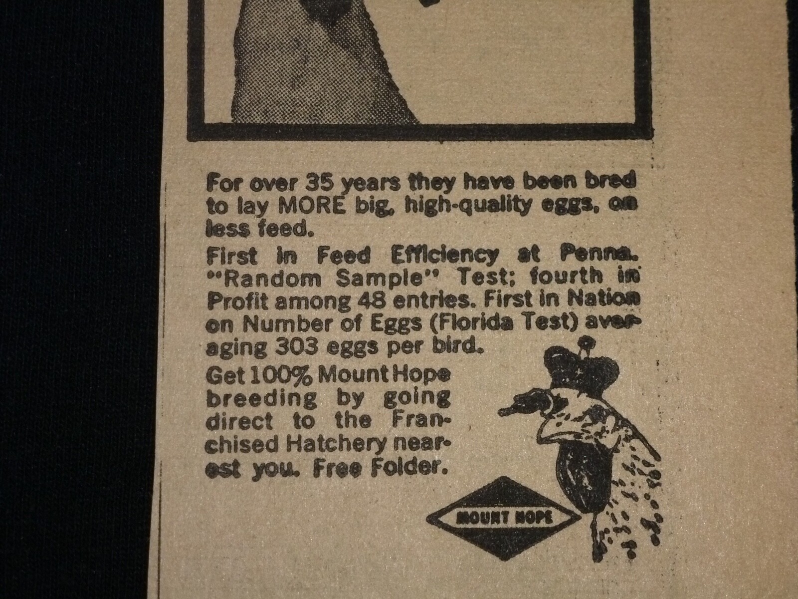 Johnson’s Hatchery – Ephrata, PA – Vintage Clipped Ad – Chickens