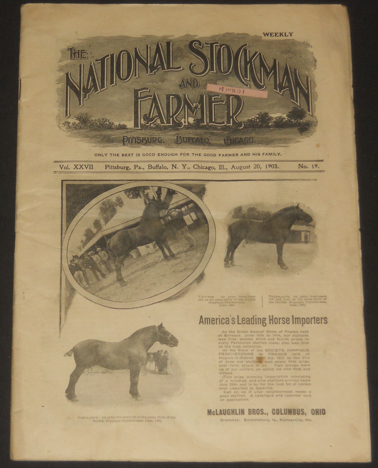 National Stockman and Farmer large size magazine many horse illustrations + ads