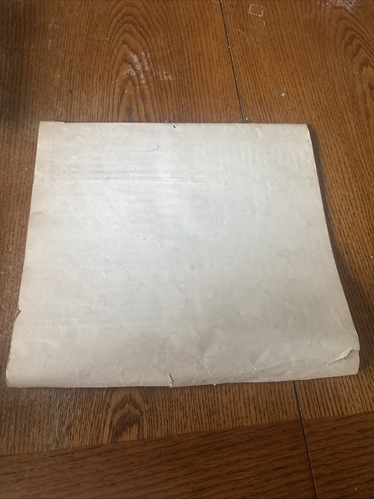 Snapper Dealership Pamphlet/Brochure