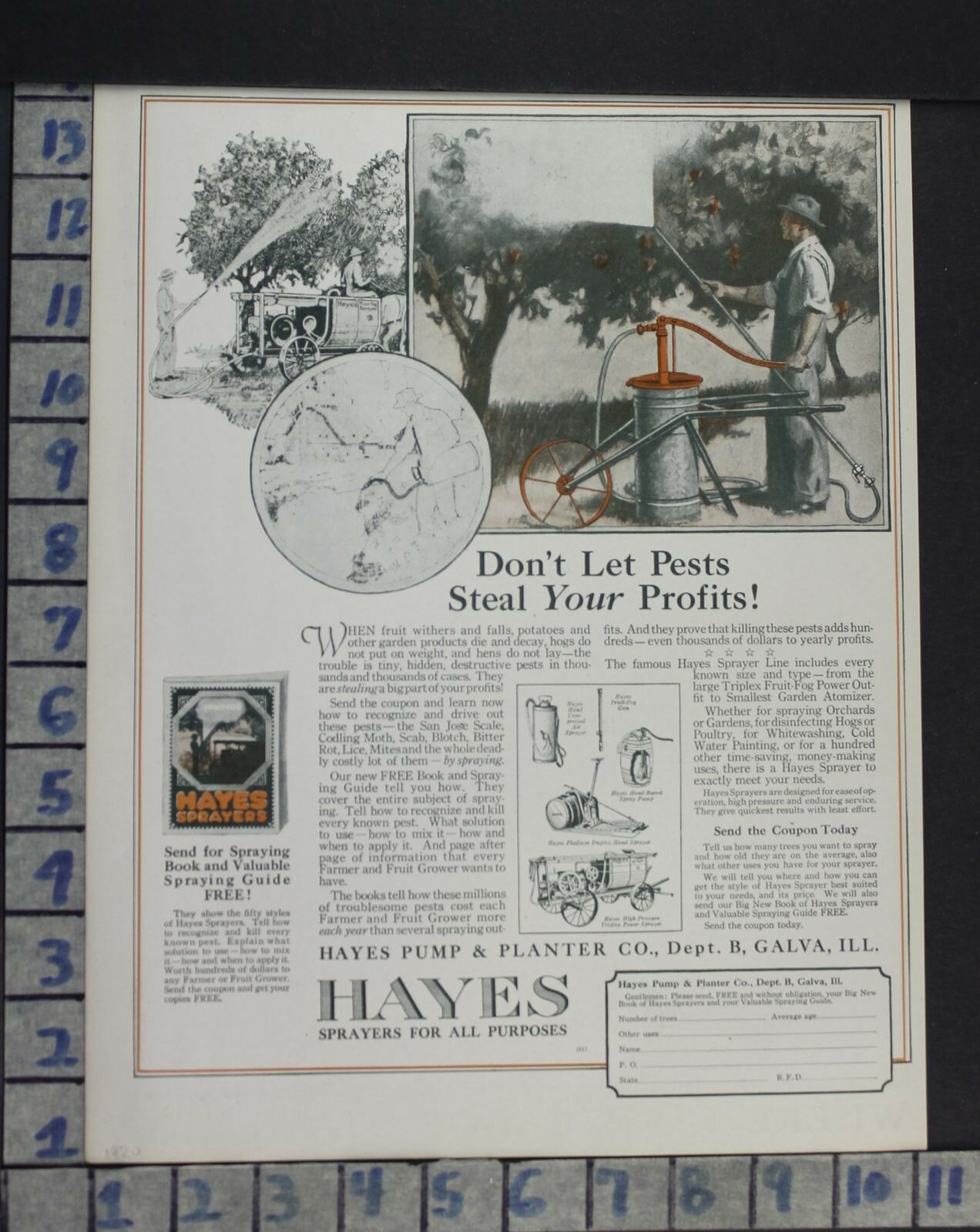 1920 AGRICULTURE HAYES SPRAYER FARMER FRUIT GARDEN PESTS BUG VINTAGE AD DA42