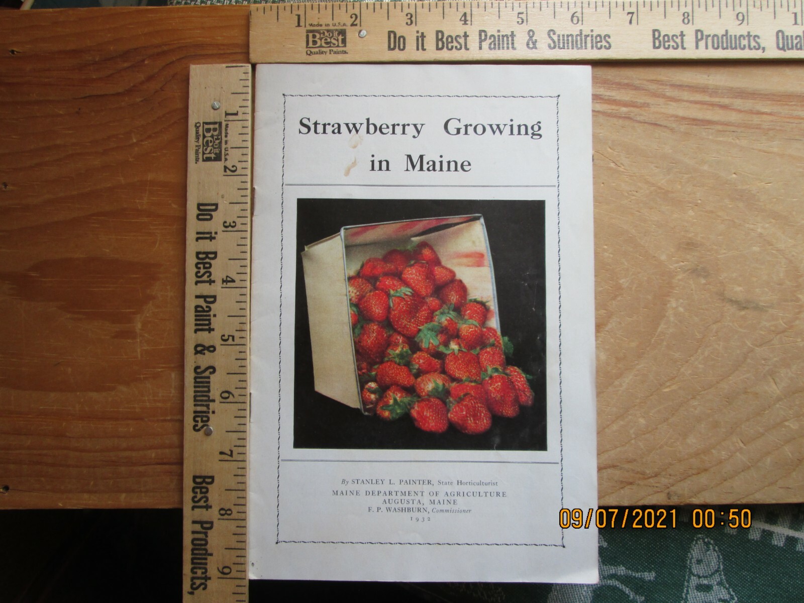 strawberry growing in maine – maine department of agriculture 1932