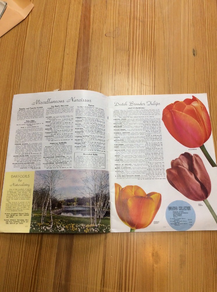 Strump And Walter Co American Grown Bulbs 1943 INV-P0058