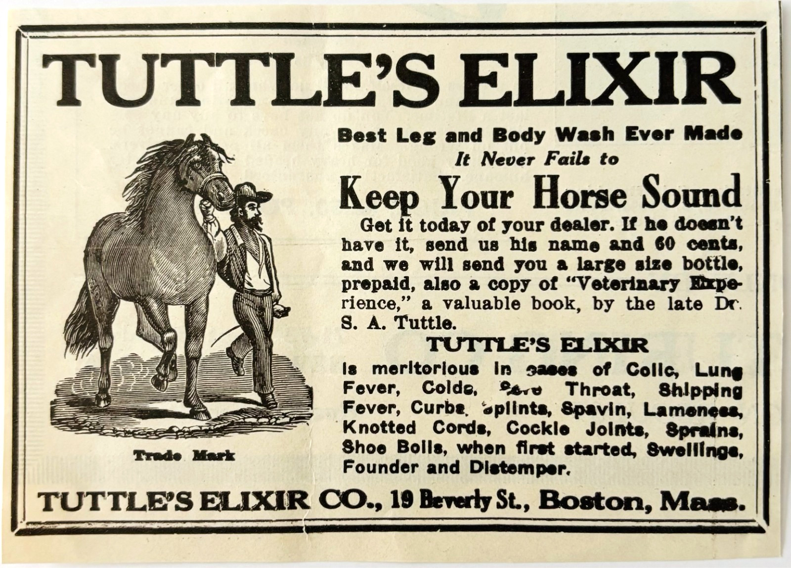 1920 Tuttle&rsquo;s Elixir Advertisement Horse Harness Racing Body Wash Boston E4A