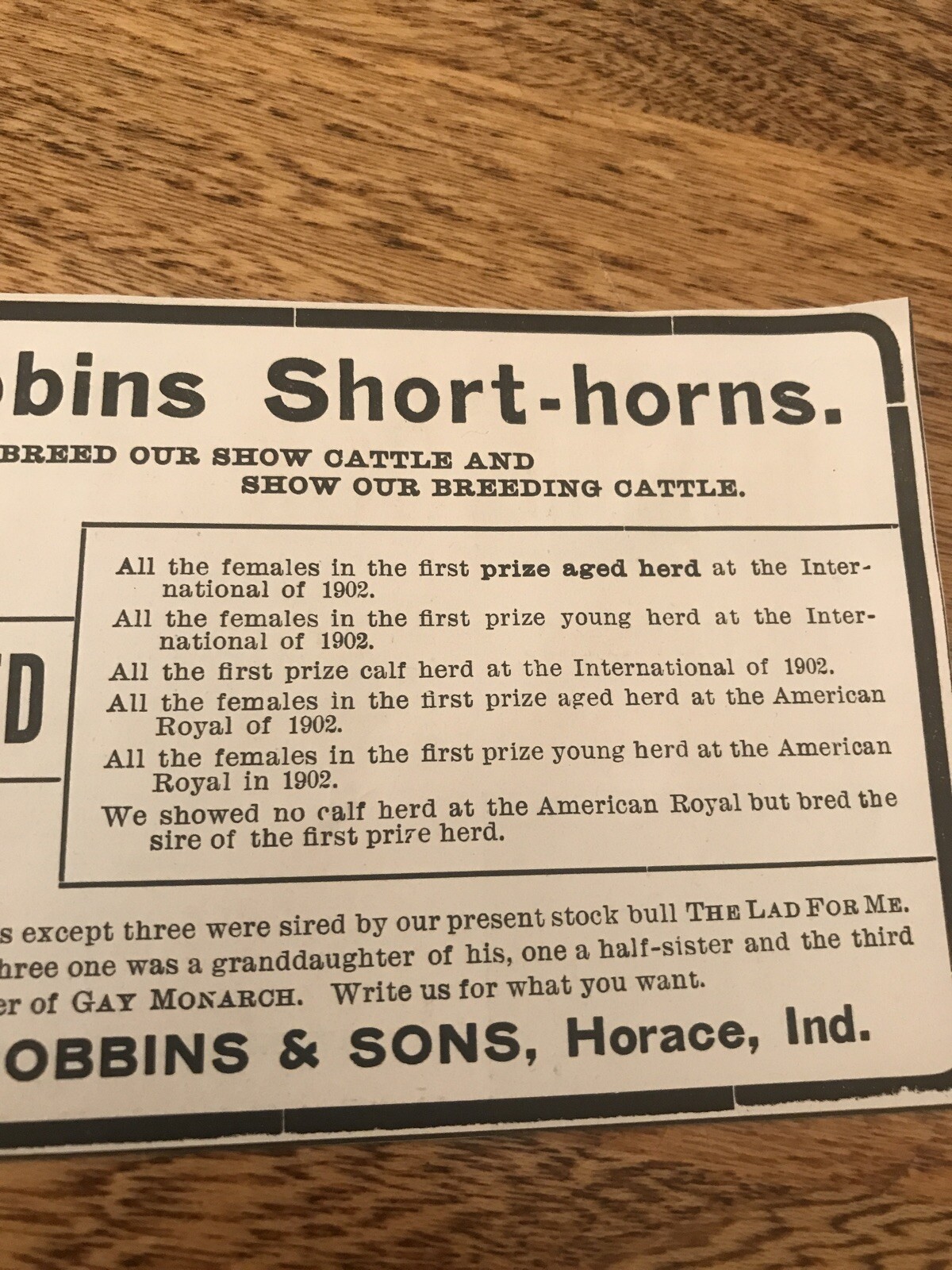 1903 Robbins Shorthorns Cattle Cow Advertising – Horace – Indiana Greensburg