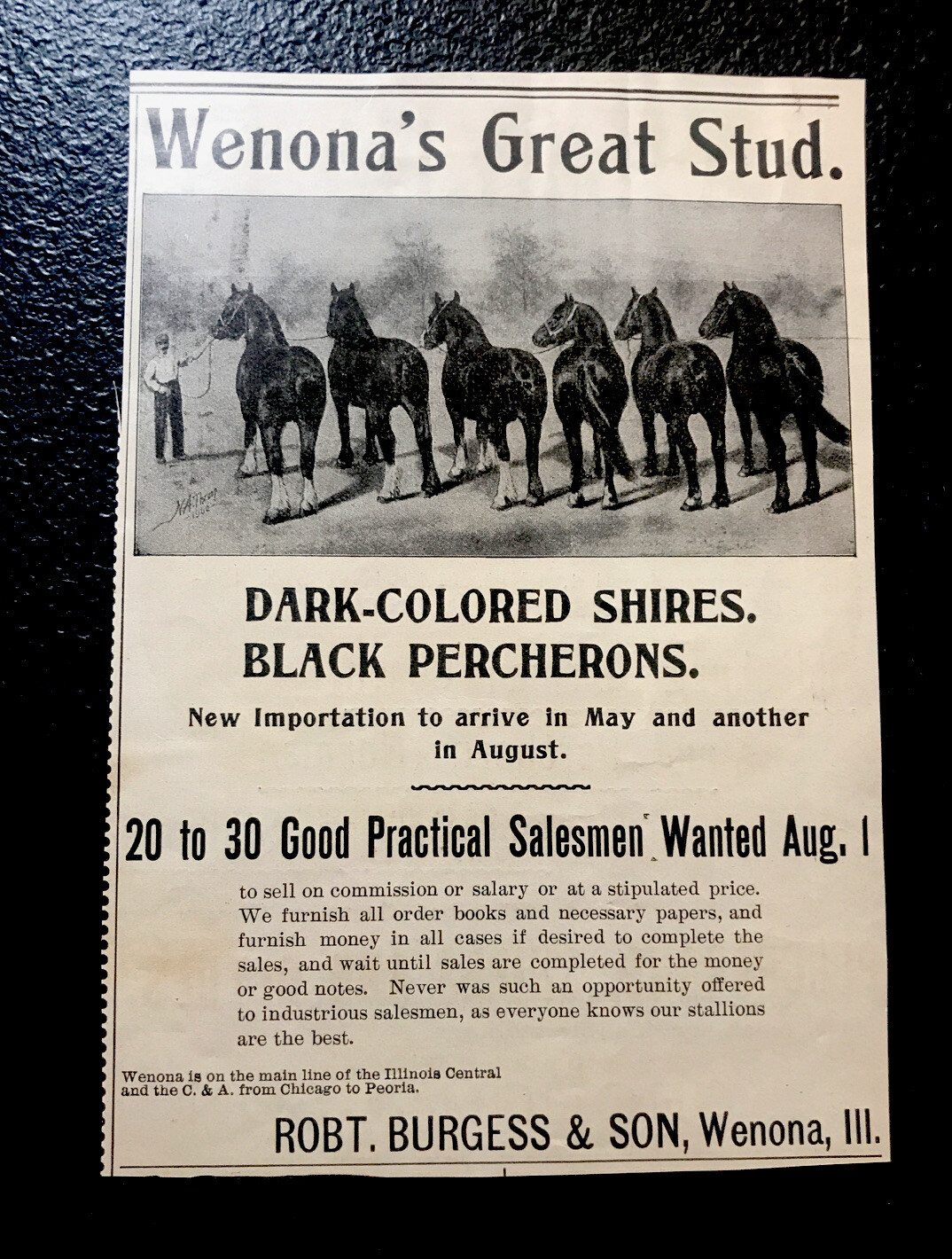 1902 Burgess & Son Horse Advertising – Wenona – Illinois – Equestrian – Farm