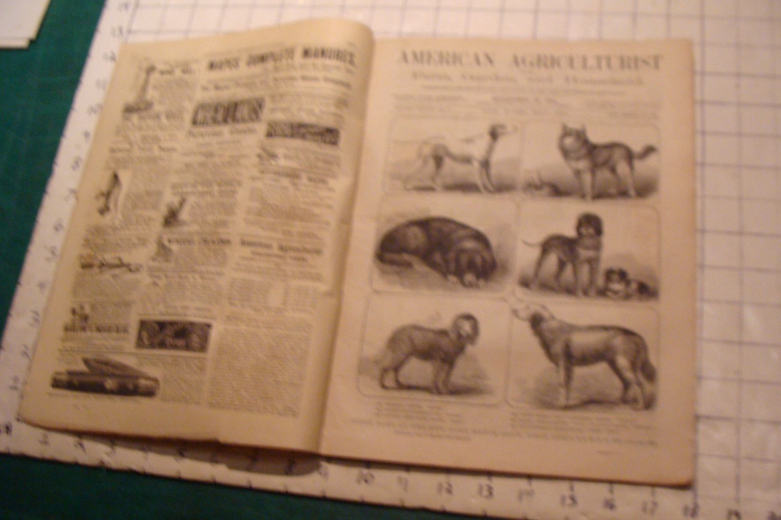 Vintage American Agriculturist 1879 May; great DOGS, SHEEP, MACHINES,