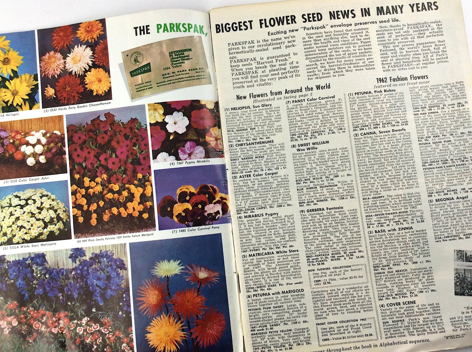 Parks Flower Book 1962 Greenwood South Carolina Garden Seed Catalog Q364