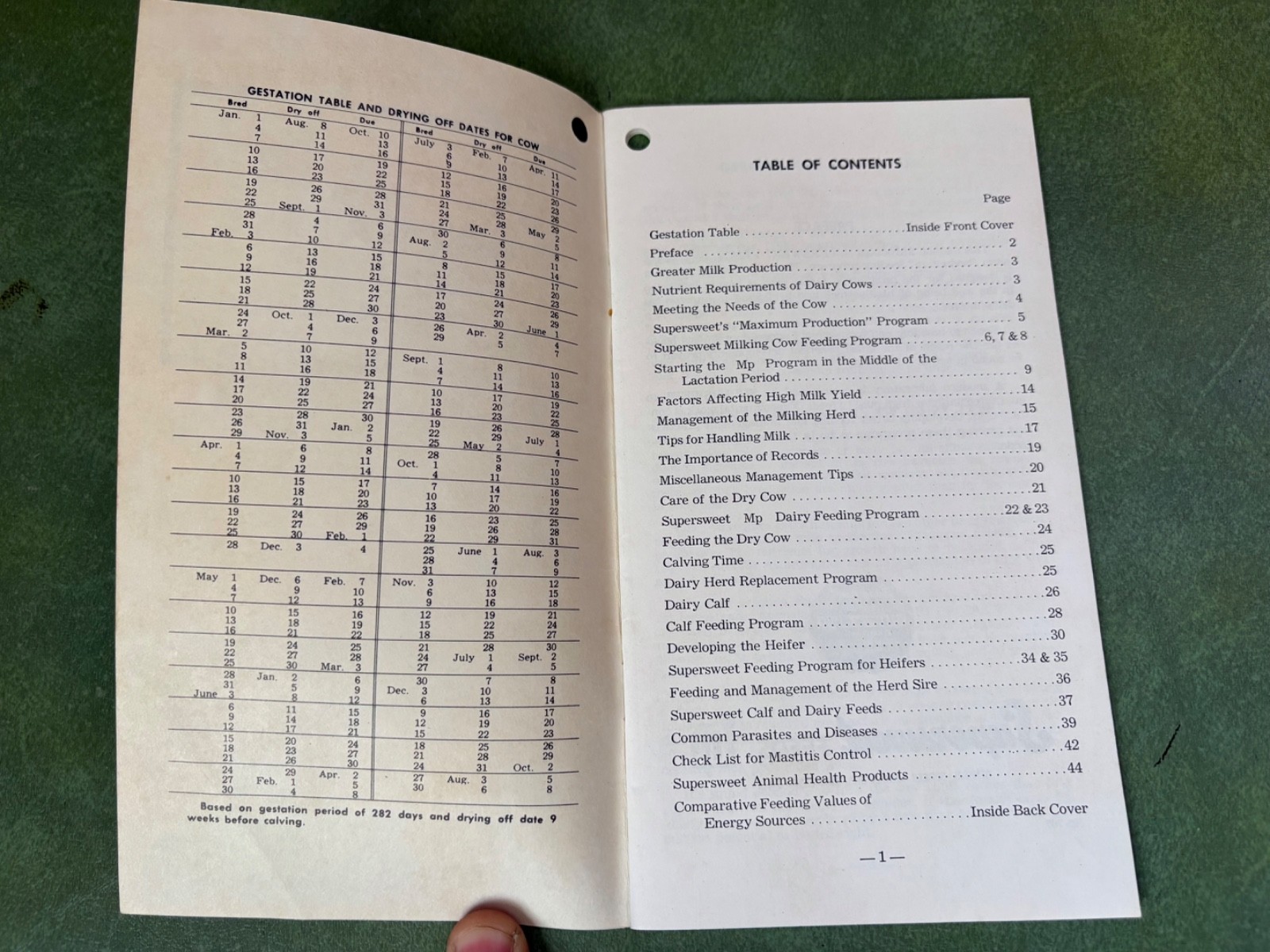 Vintage SuperSweet Dairy Cattle Feeding & Management Guide 6th Edition