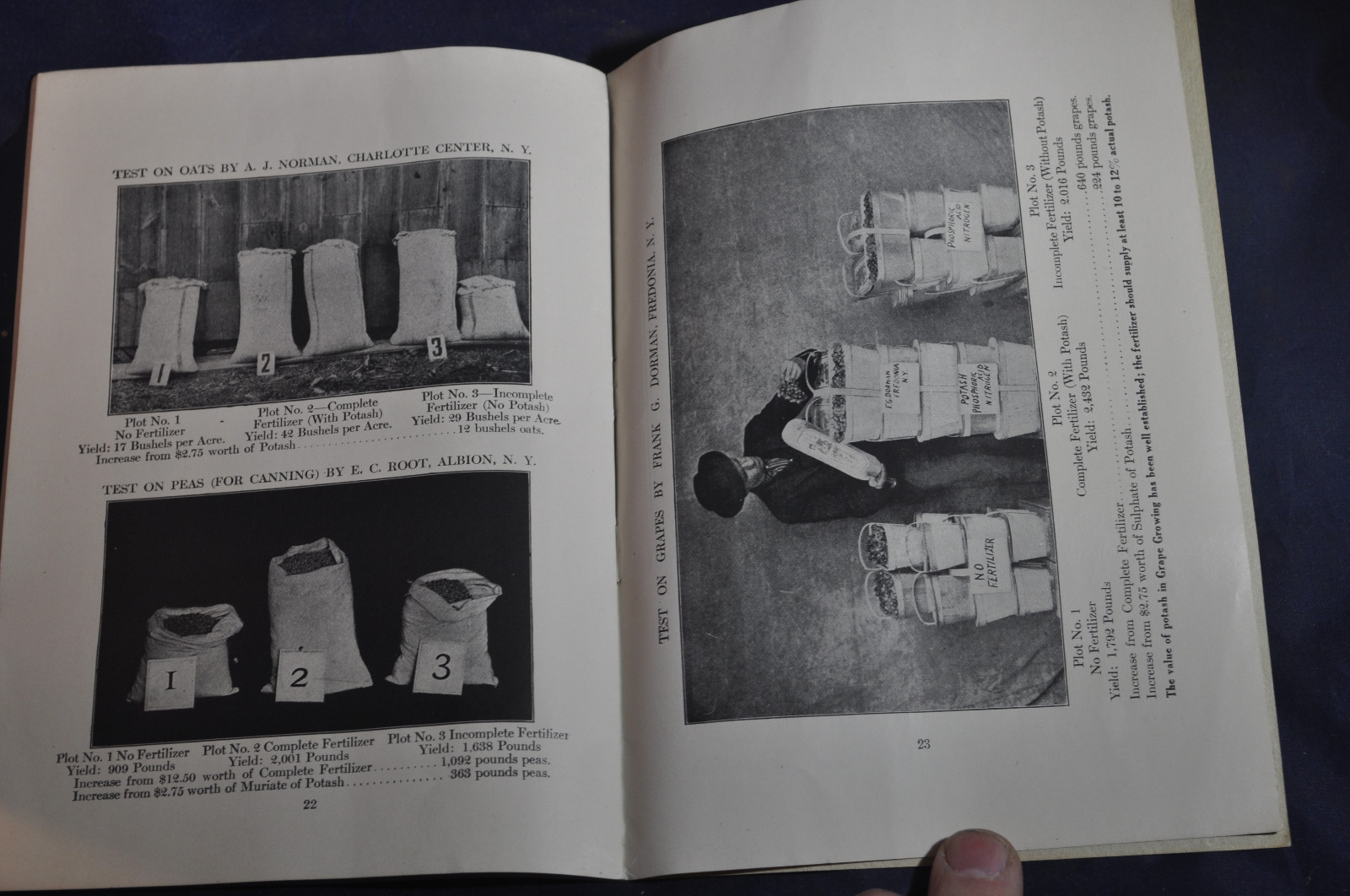Ca 1920 German Kali Works Brochure on New York Fertilizer Results