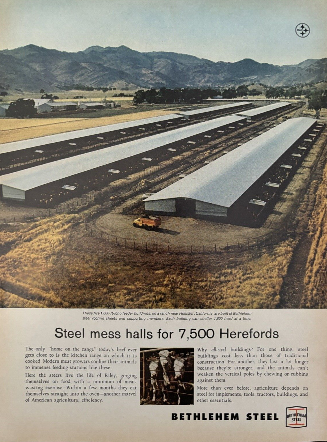 1965 Bethlehem Steel 7500 Herefords Beef Mess Halls Vintage Print Ad