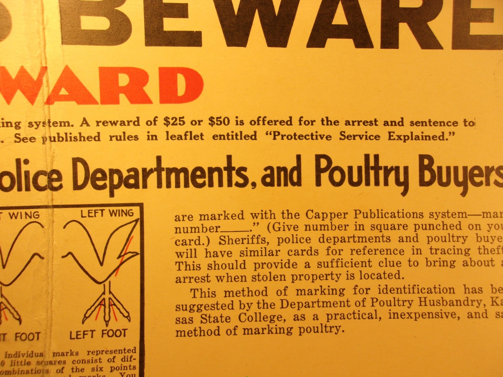 RARE OLD VTG ANTIQUE 1933 PLACARD: THIEVES BEWARE, REWARD (FOR POULTRY THEFT)