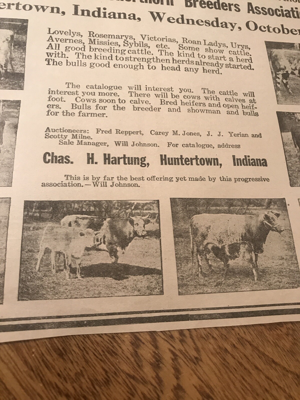 1918 Cattle Livestock Public Sale – Huntertown – Indiana – Cow Advertising