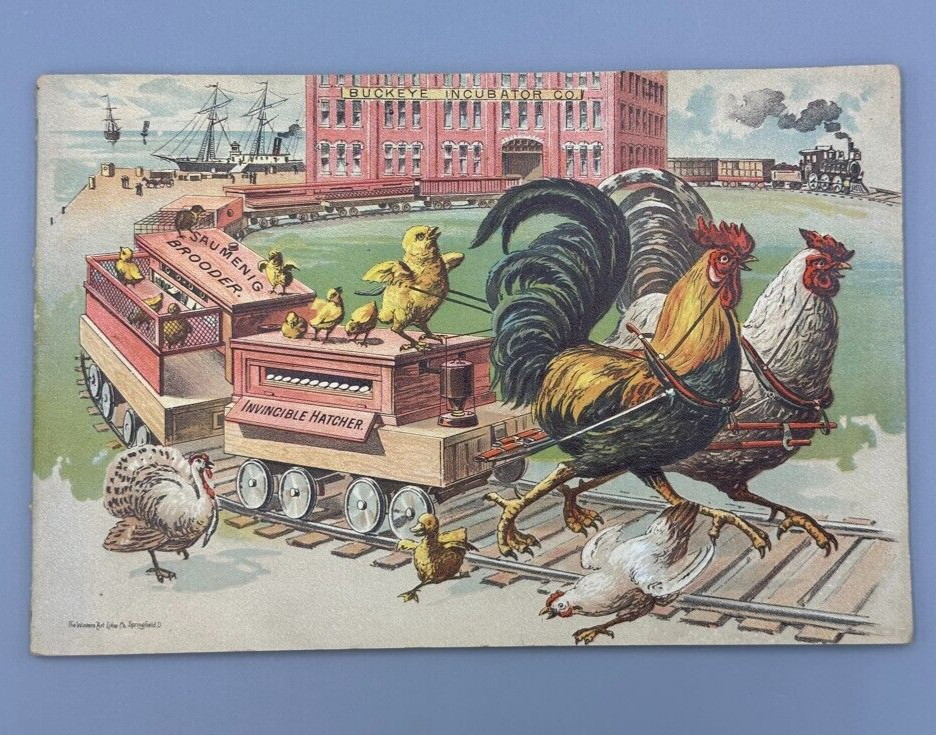 Rare 1893 BUCKEYE INCUBATOR CO Chicken CHICKS Farm Advertise BOOK Springfield OH
