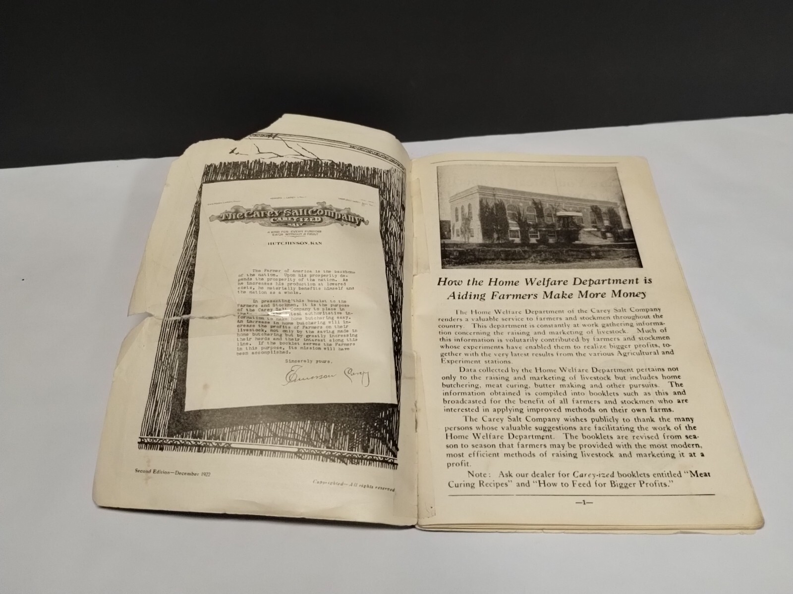 Vintage MEAT PRODUCTION On The FARM Bklet & 1922 Simple Instructions for Butcher