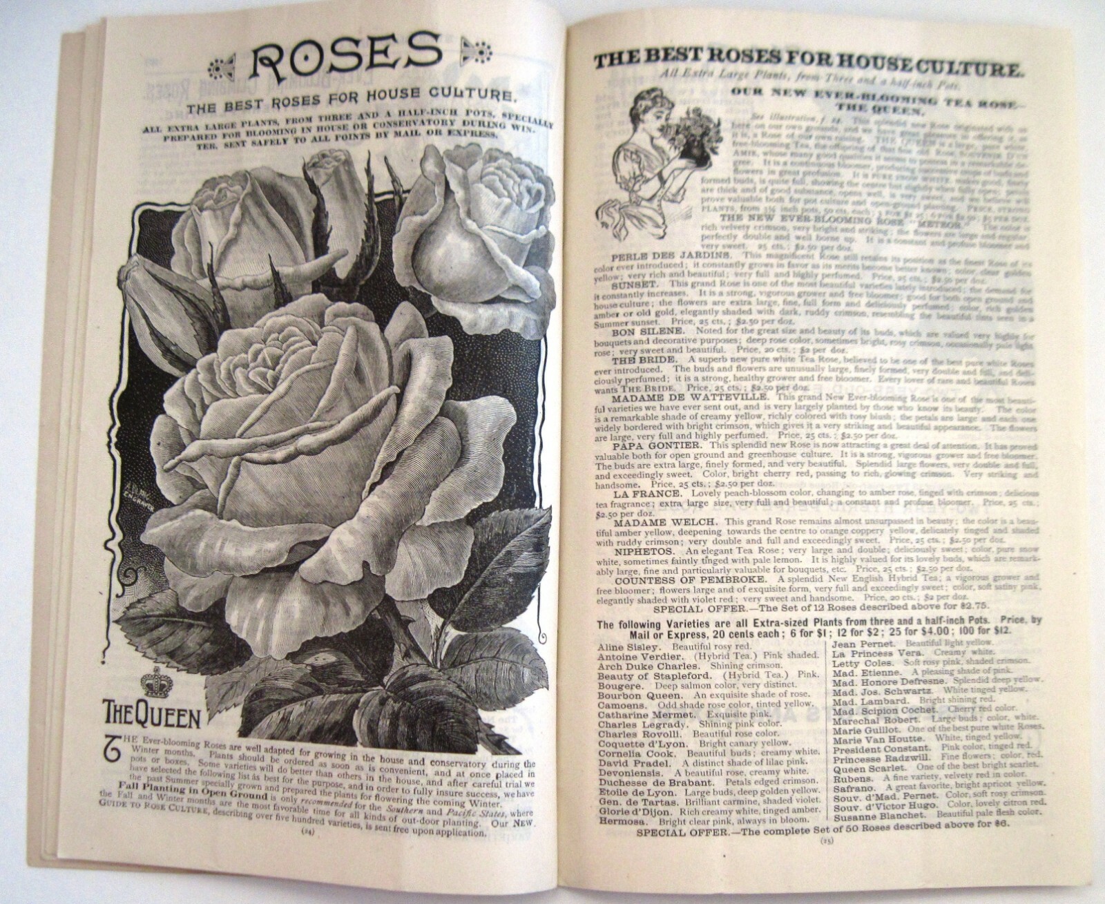 1889 Catalog « New Autumn Guide » for Holland Bulbs, Roses & Lilies & Seeds *