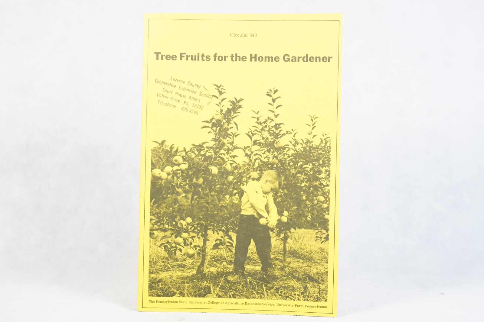 PA State University Tree Fruits for Home Gardener Circular 543 Vintage Brochure