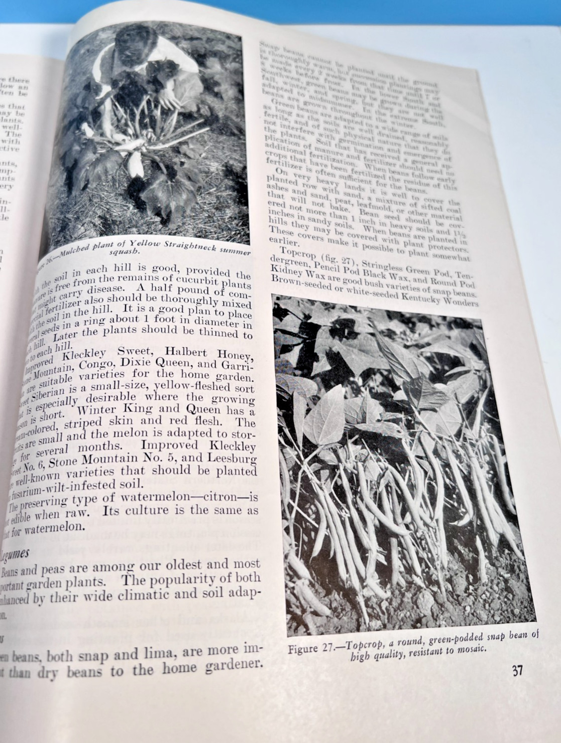 1951 Suburban Farm Vegetable Gardens Series No. 9 US Dept Agriculture booklet