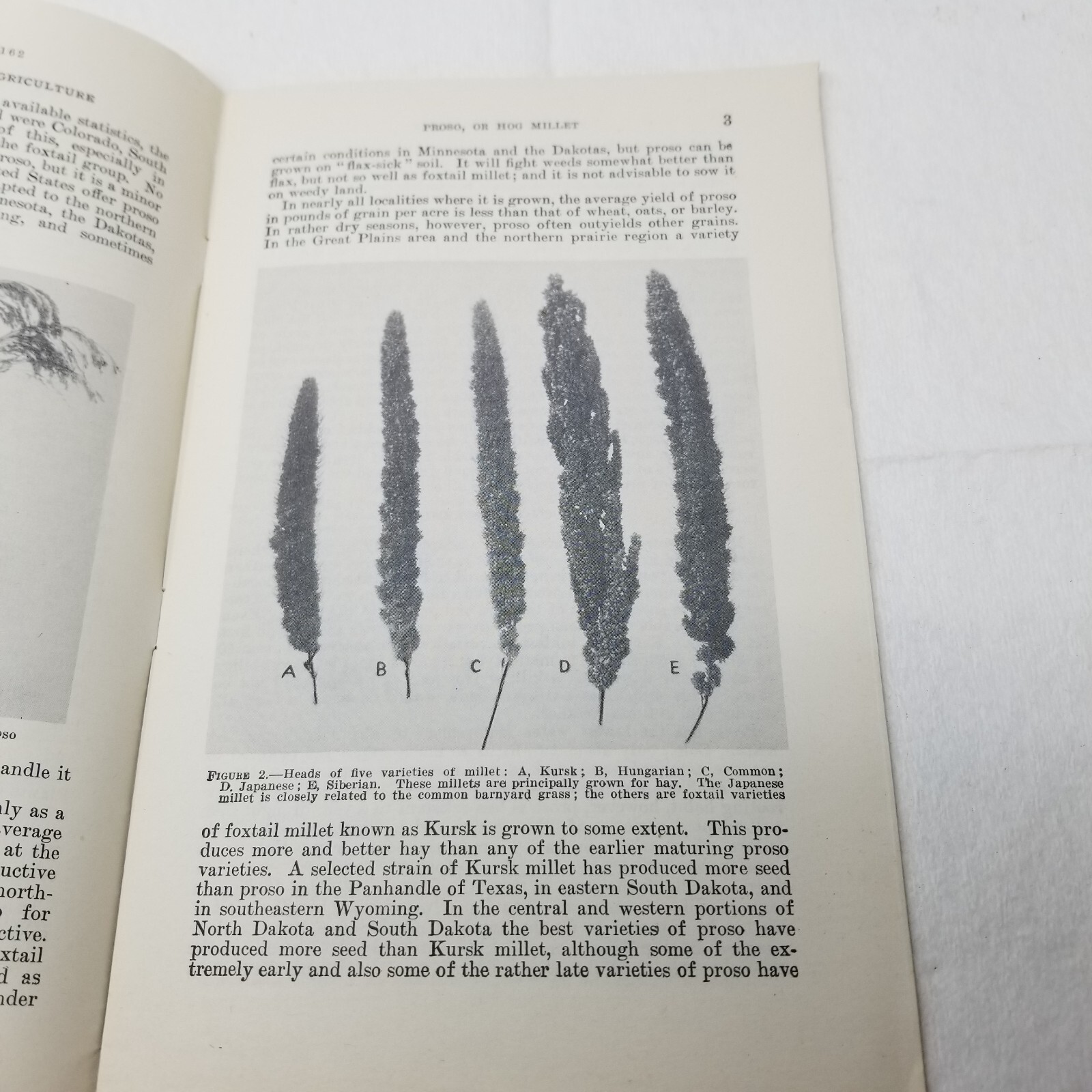 Proso Hog Millet 1937 Farmers&rsquo; Bulletin Booklet 1162 USDA Photos Charts