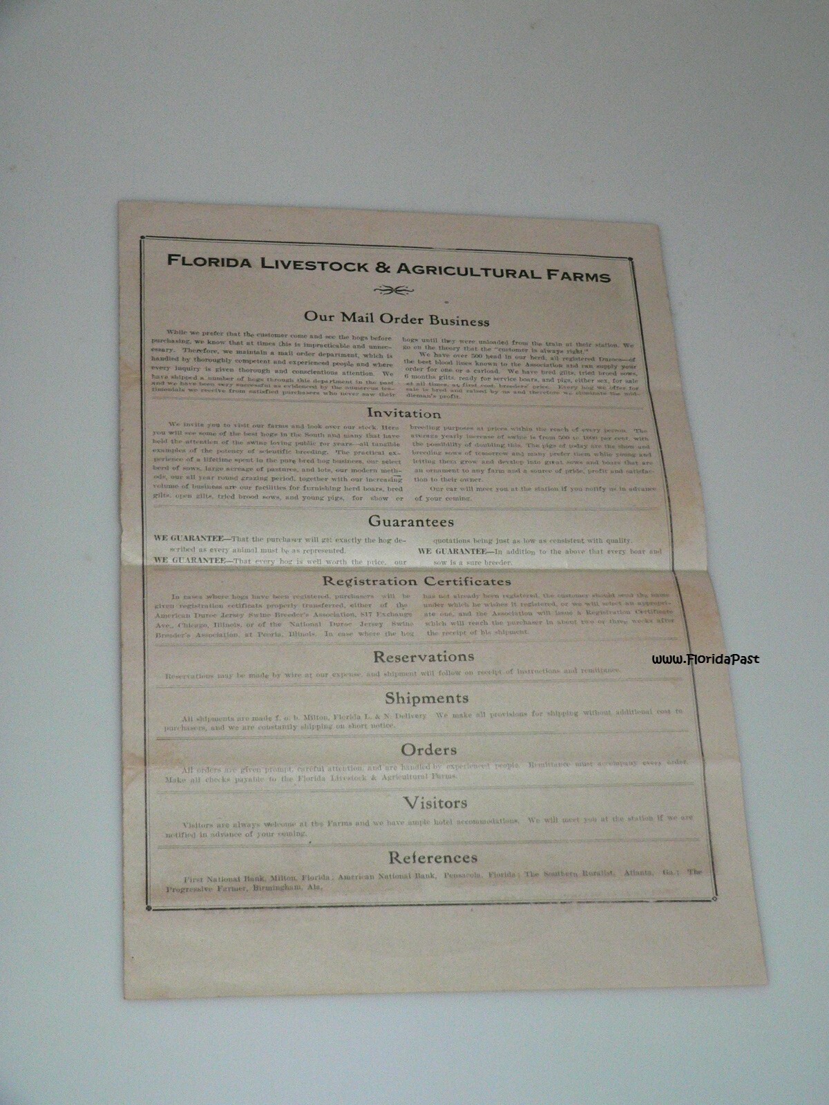 Early Duroc Jersey Hogs Munson, Florida Livestock & Agricultural Farms Brochure