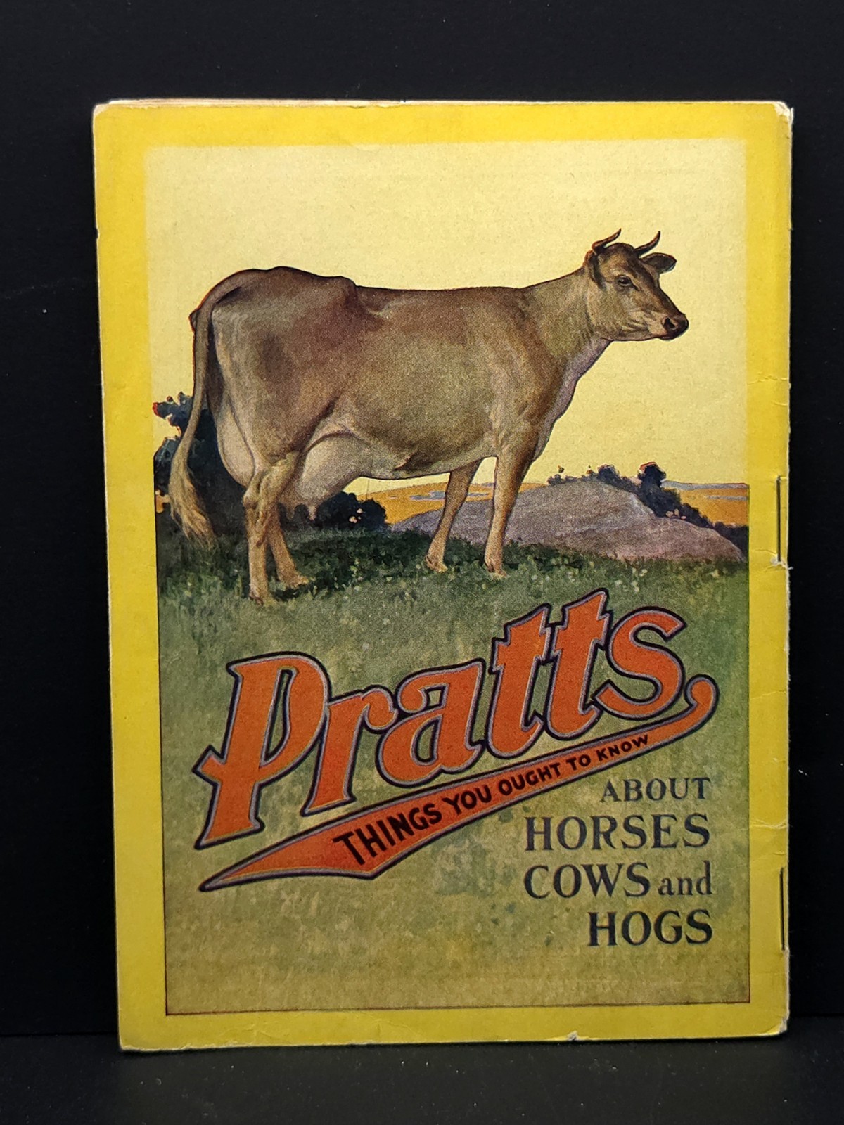 Pratt&rsquo;s Agricultural Farm Animal Feed Book on Raising Horses Cows & Hogs c.1911