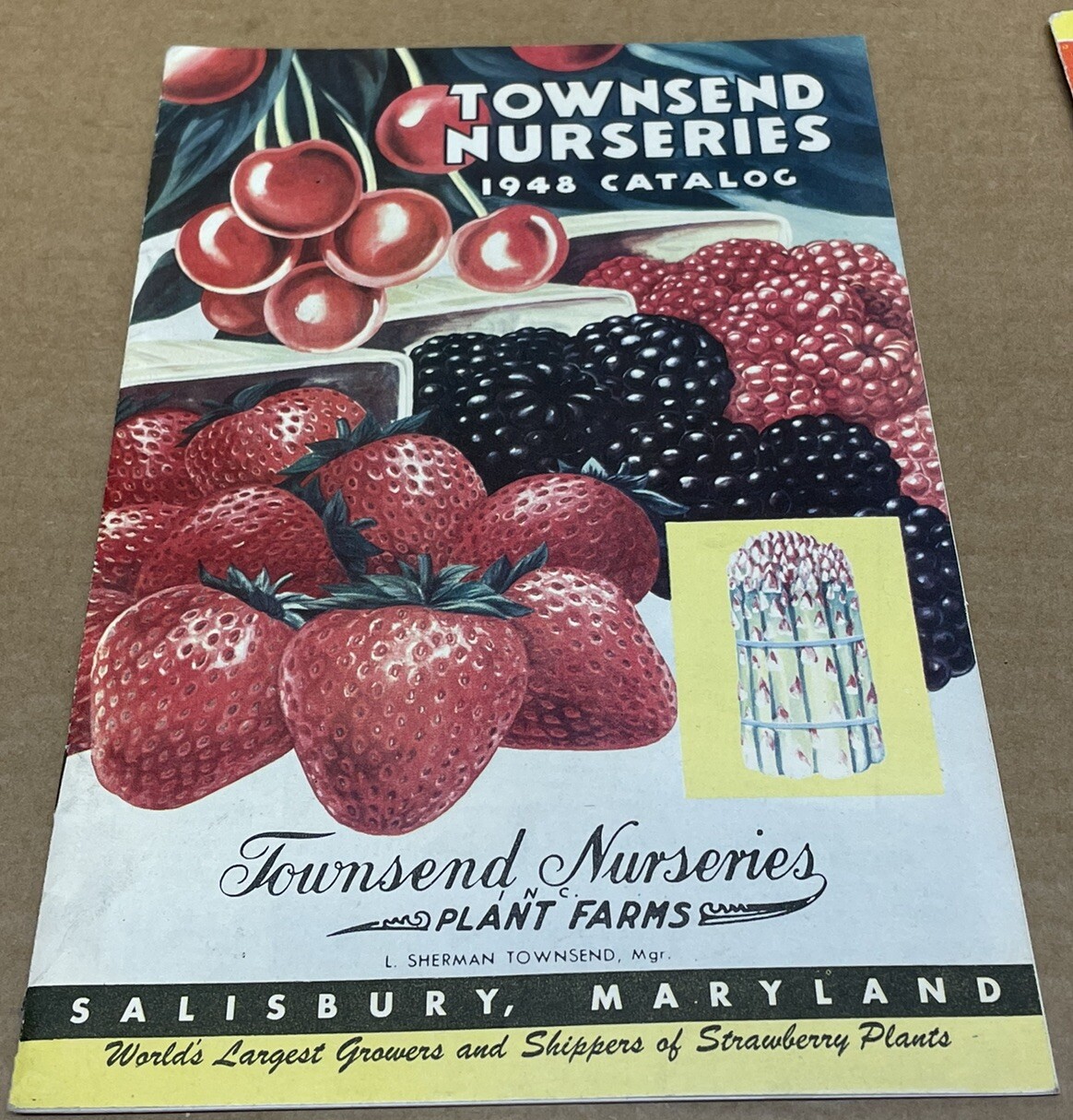 Vtg 1948 1949 Townsend Nurseries Salisbury, Maryland Garden Catalog Lot RARE