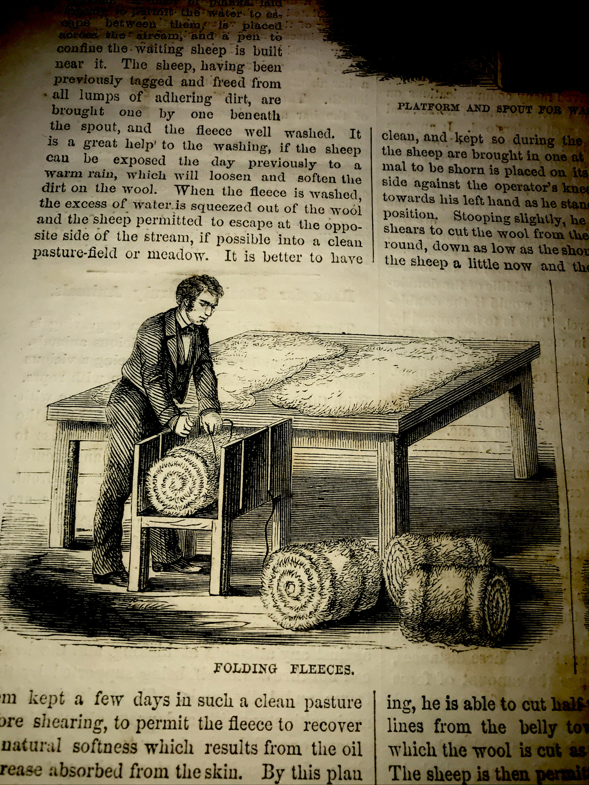 ORIGINAL 1872 Sheep & Horse Shoeing Farm Engraving Advertising & Article