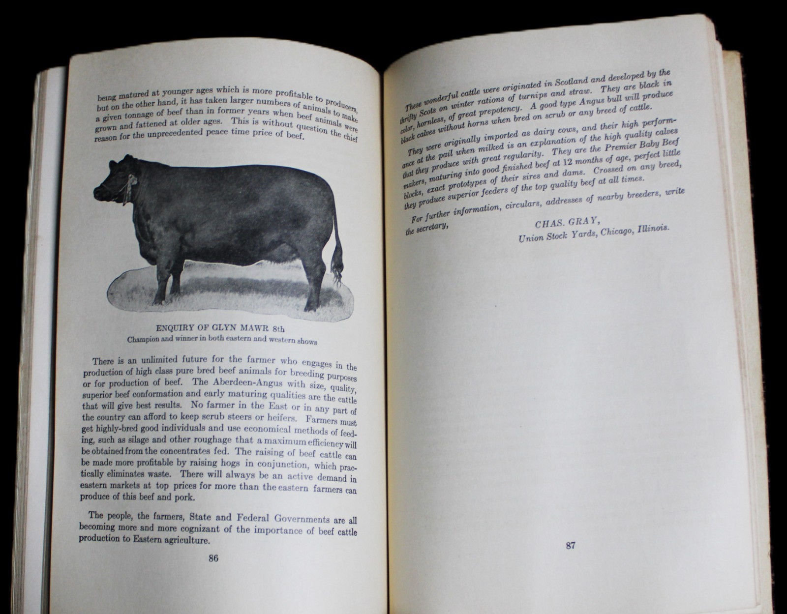 LIVESTOCK IN THE EAST BOOKLET BY THE PARK & POLLARD COMPANY BUFFALO NY 1924