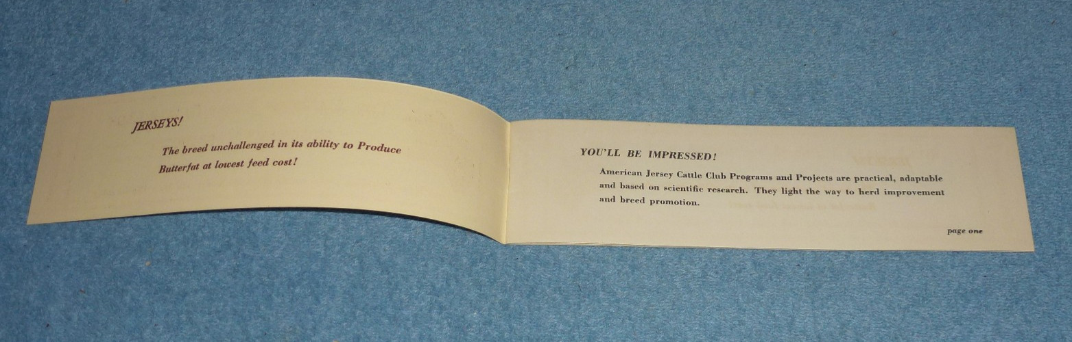 Vintage American Jersey Cattle Club Booklet Programs Projects Awards Fees etc
