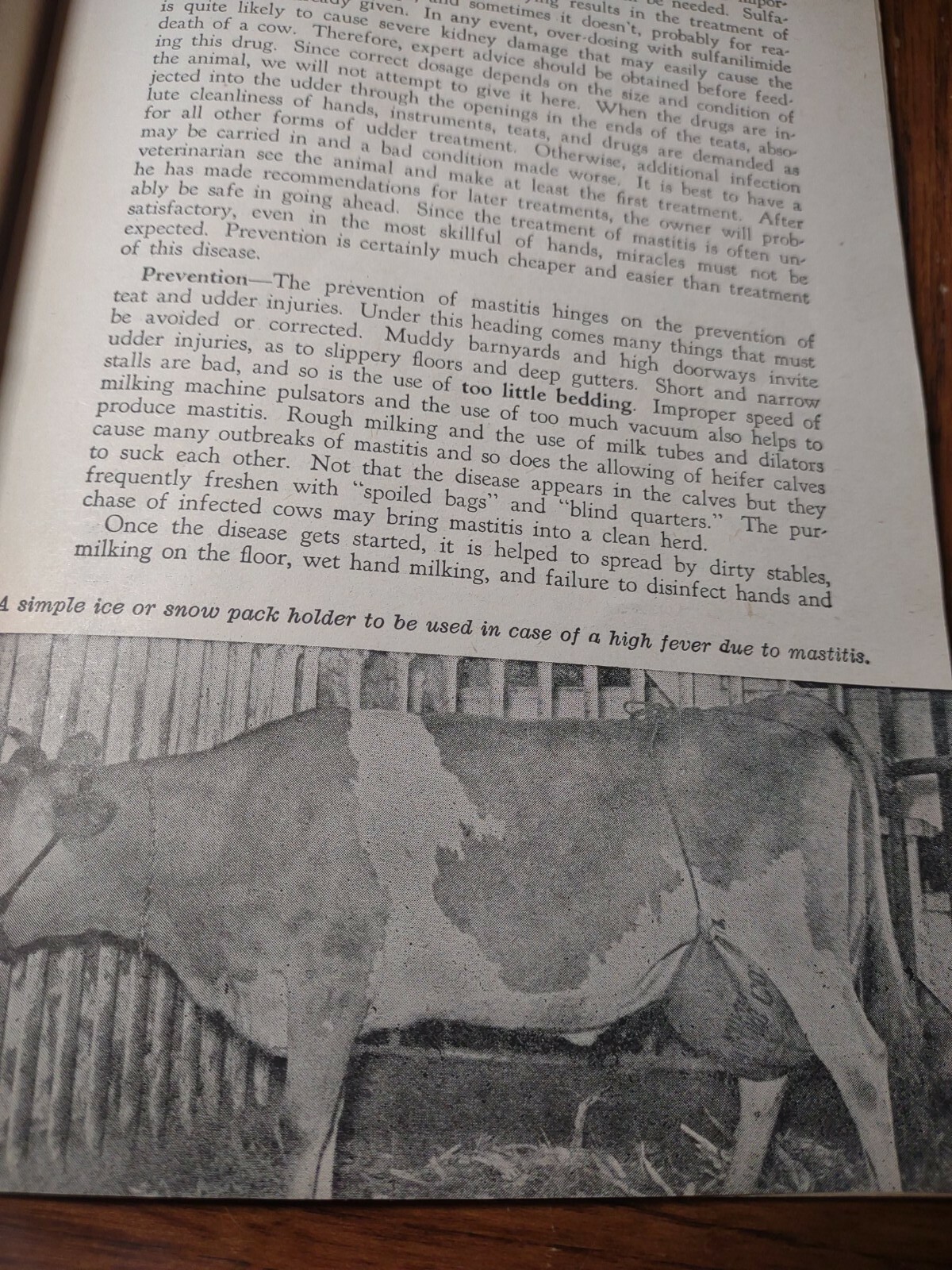 HOARDS DAIRYMAN FORT ATKINSON,WIS. COMMON AILMENTS OF FARM ANIMALS BOOK