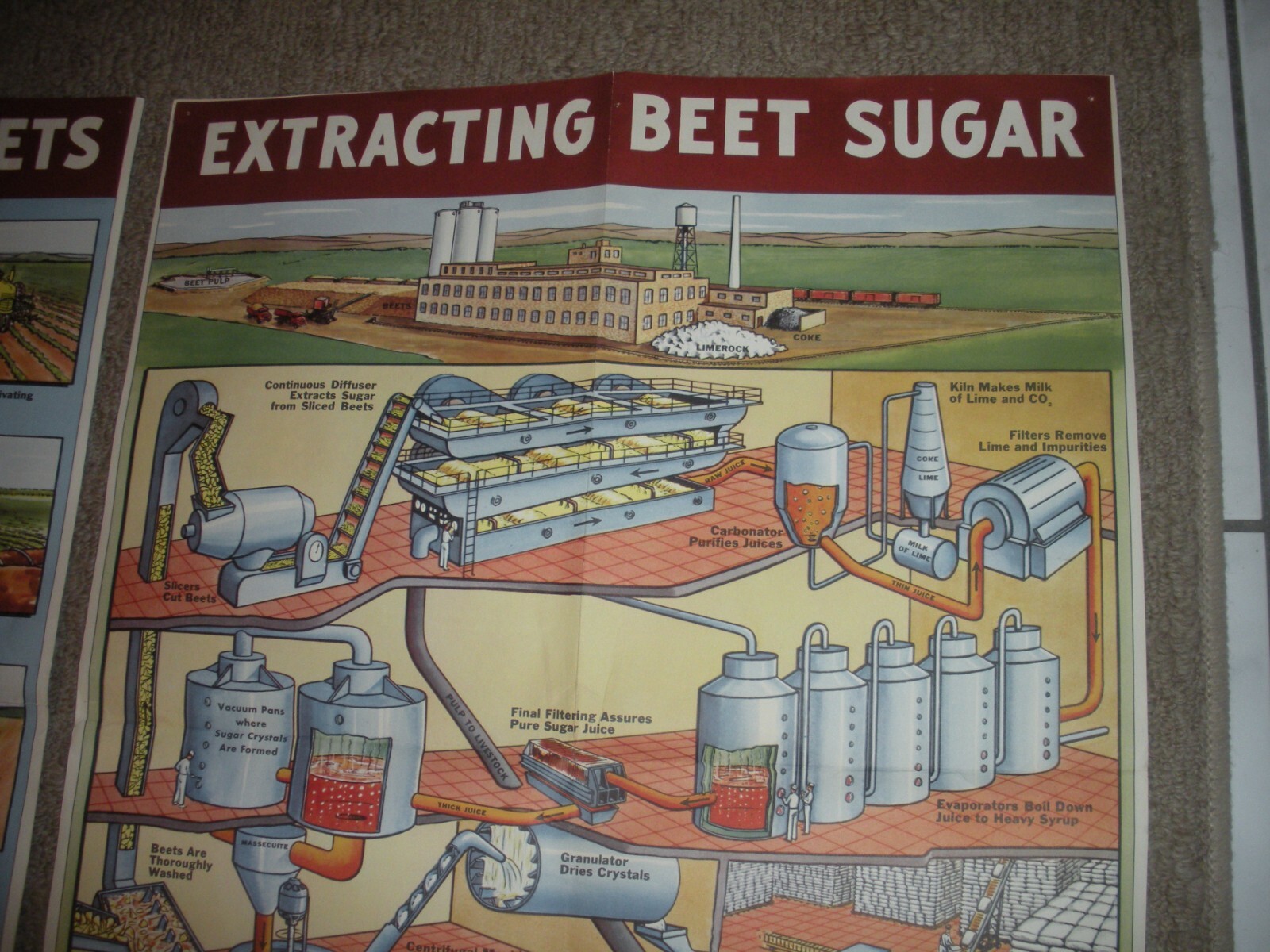 Rare Vintage 1950&rsquo;s? Extracting STORY Beet Sugar food Factory COMPLETE SET OF 4