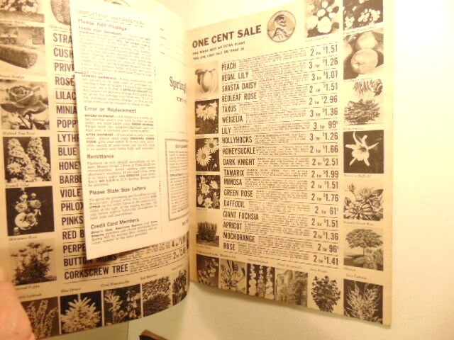 Vintage spring 1967 Spring Hill Nurseries catalog; Tipp City, OH