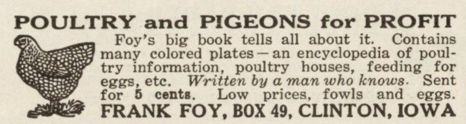 Foys Poultry & Pigeons Big Book Vintage Print Ad 1917 Clinton Iowa u Original