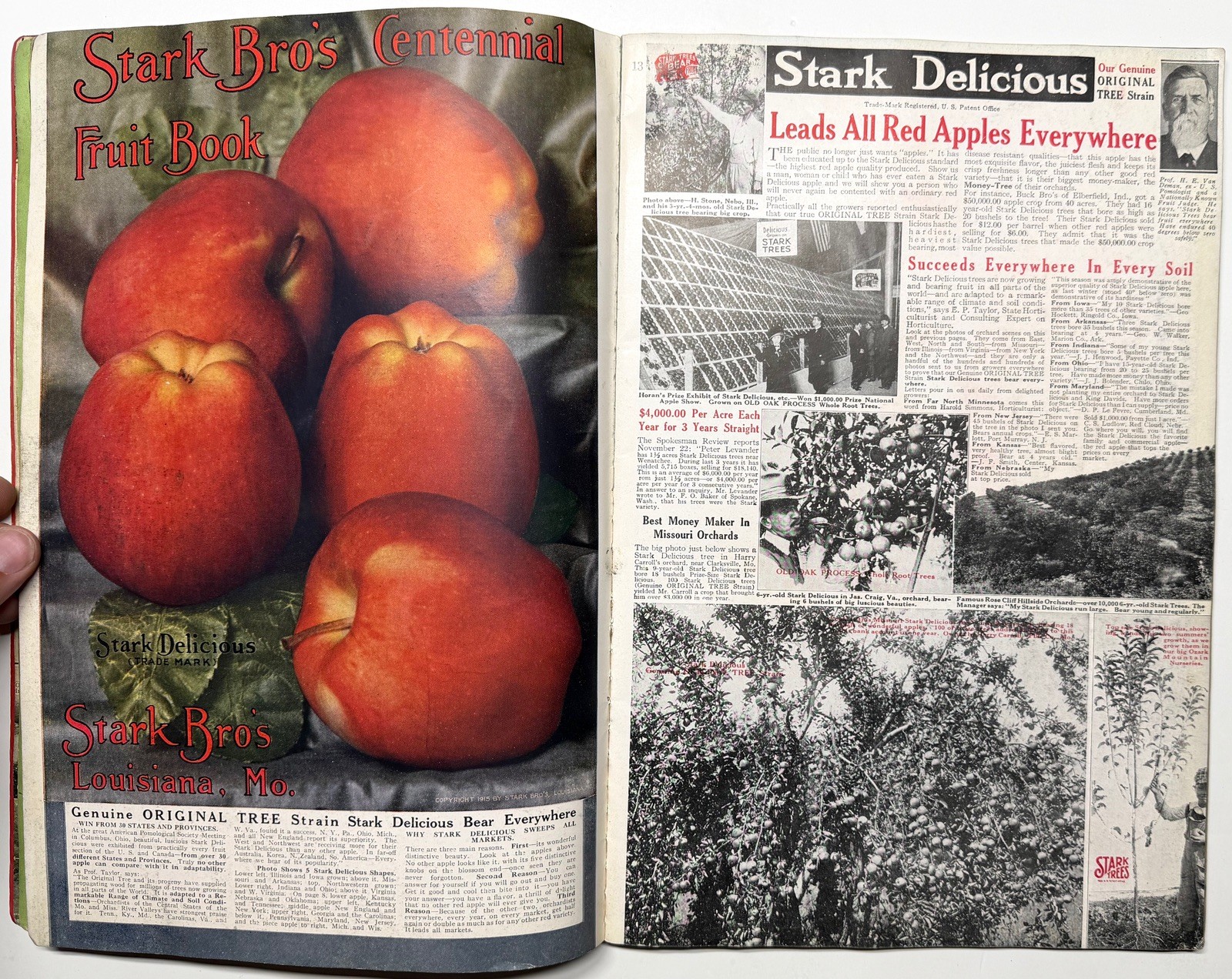 1922 STARK BROS 20TH CENTURY FRUITS NURSERY CATALOG GOLDEN DELICIOUS APPLE PEACH