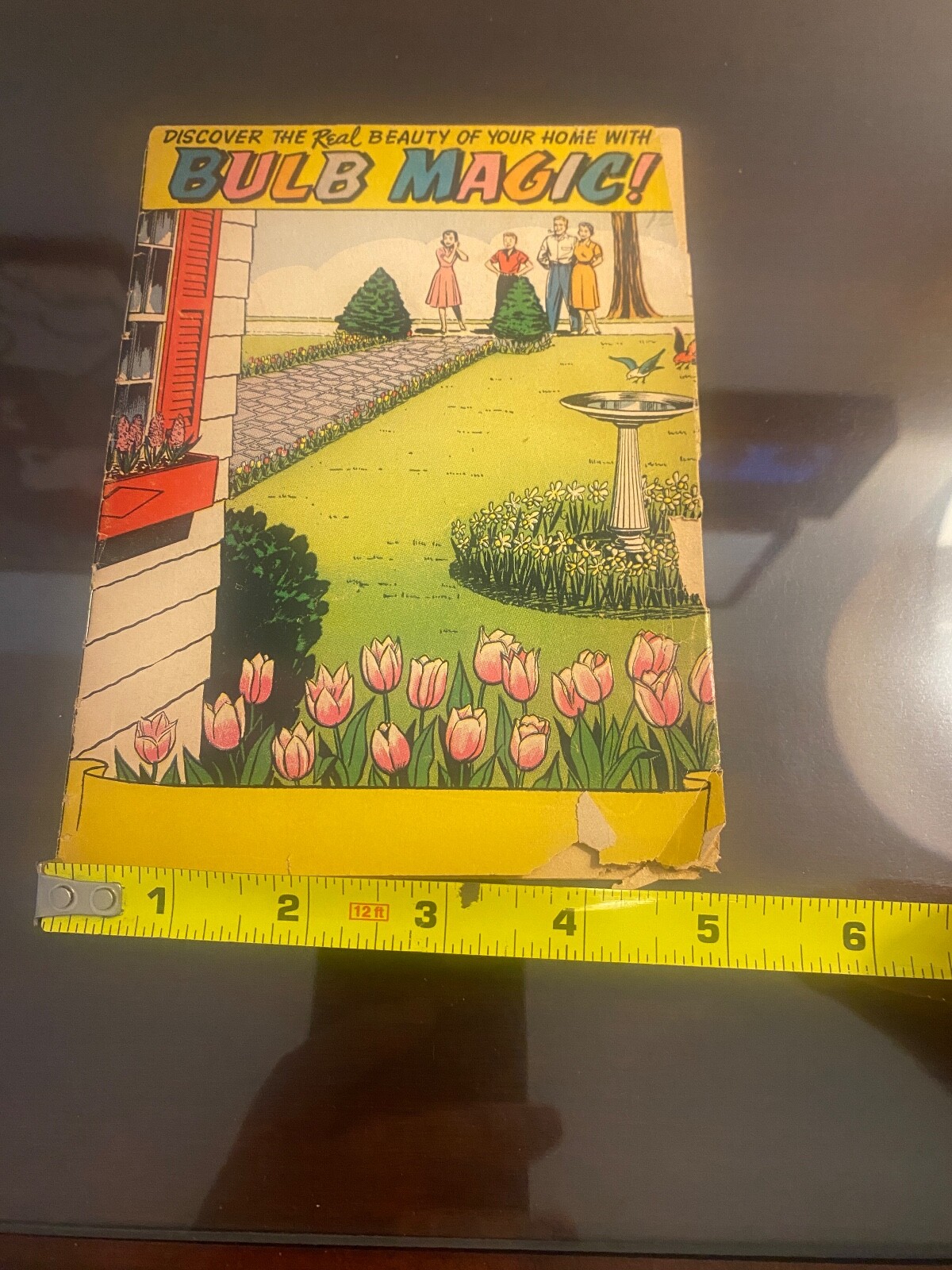 Vintage Ephemera – 1956 Bulb Magic Pamphlet – Bulb Growers Of Holland