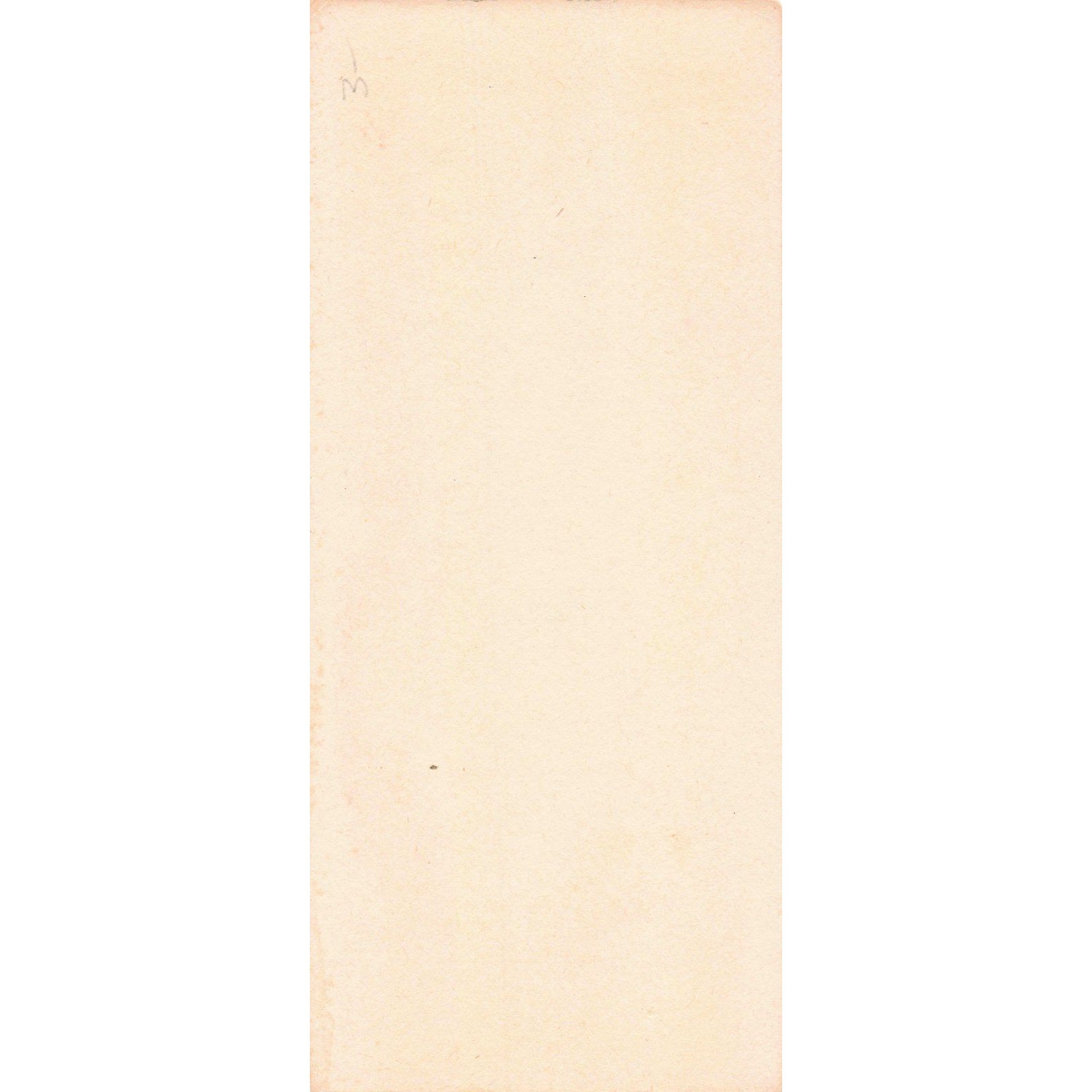 Vintage Geigy DDT Ink Blotter Gesarol Neocid Pest Control Coplay PA