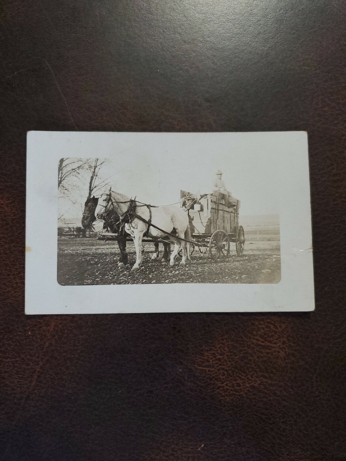 Vntg 1890-1900 Farming RPPC Agricultural Postcard