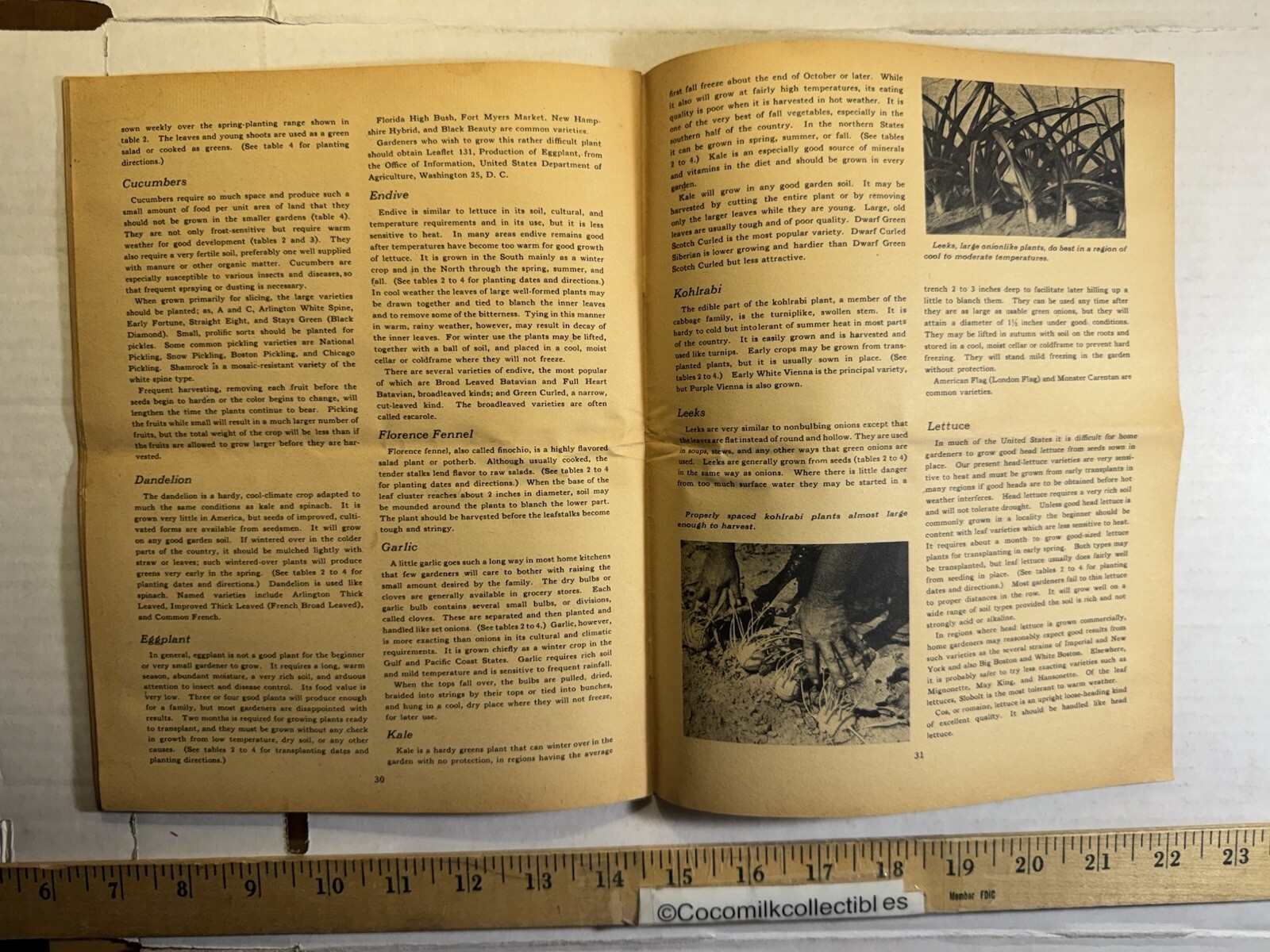 Vintage 1951 United States Department of Agriculture Growing Vegetables Brochure