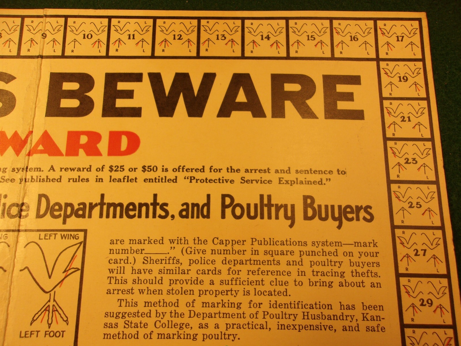 RARE OLD VTG ANTIQUE 1933 PLACARD: THIEVES BEWARE, REWARD (FOR POULTRY THEFT)