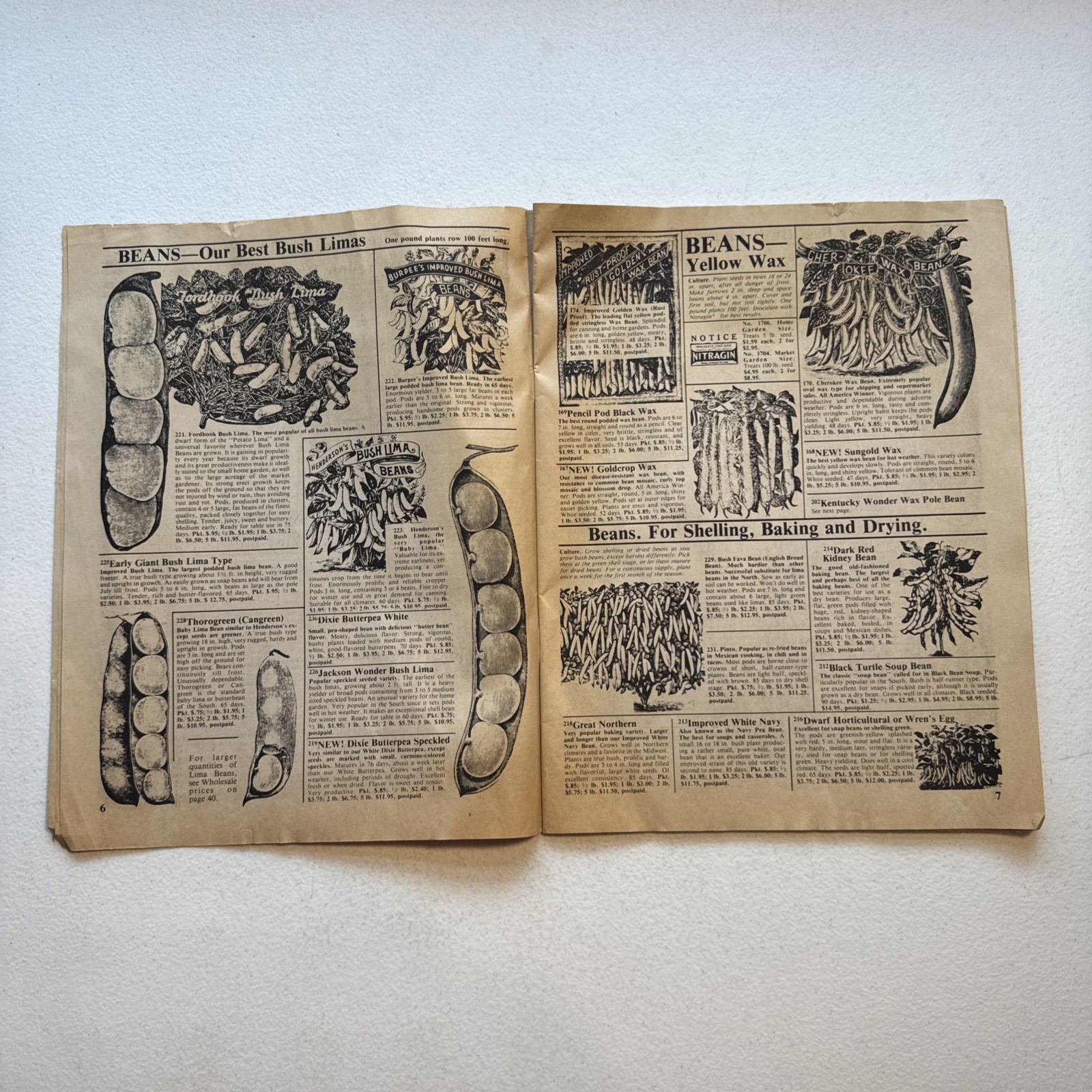 R.H. Shumway’s Seedsman Rockford, Illinois 1988 Garden Catalog Vintage