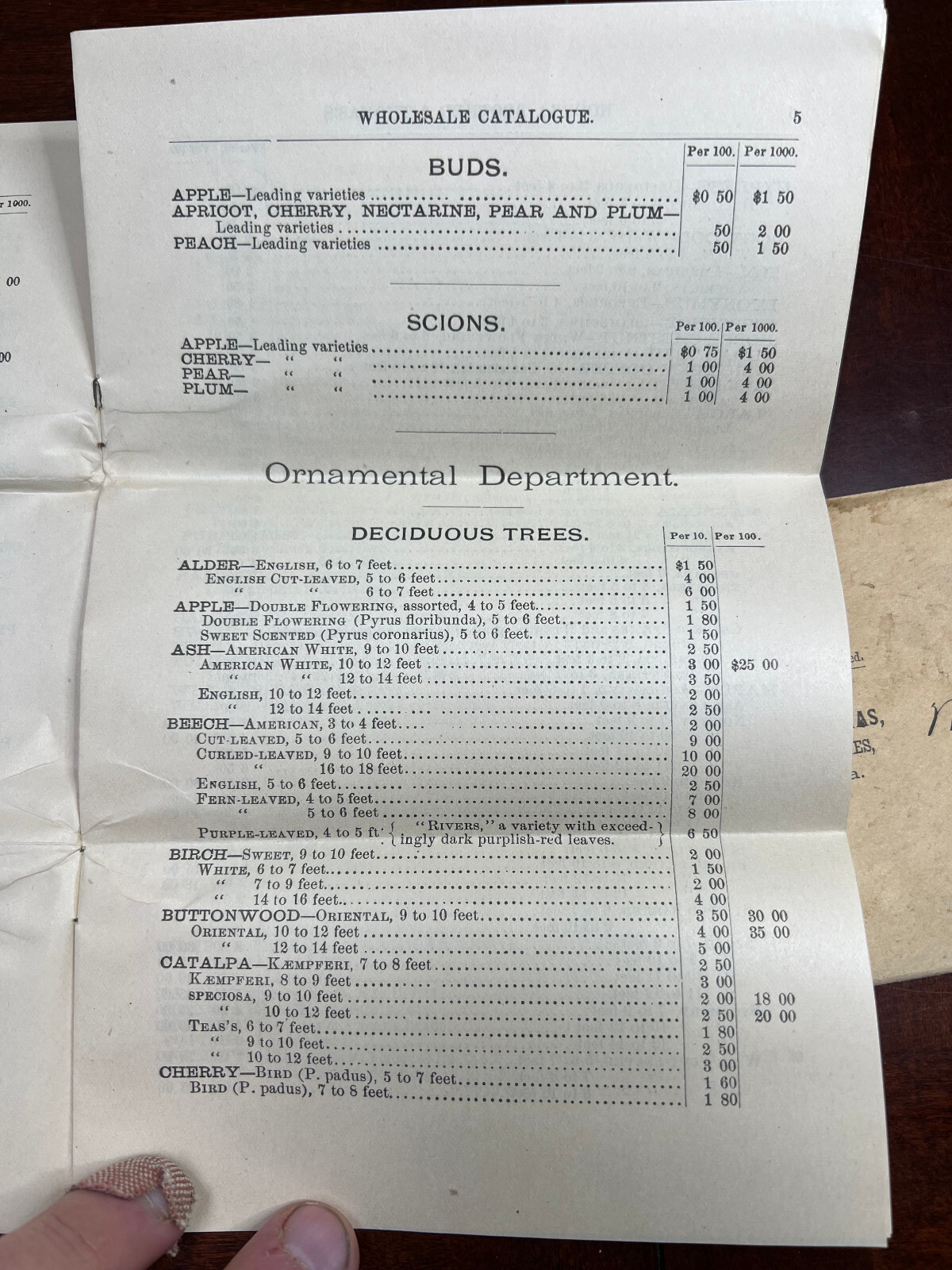 Hoopes Bro & Thomas Maple Ave Nurseries West Chester, Pa Catalogue & Envelope