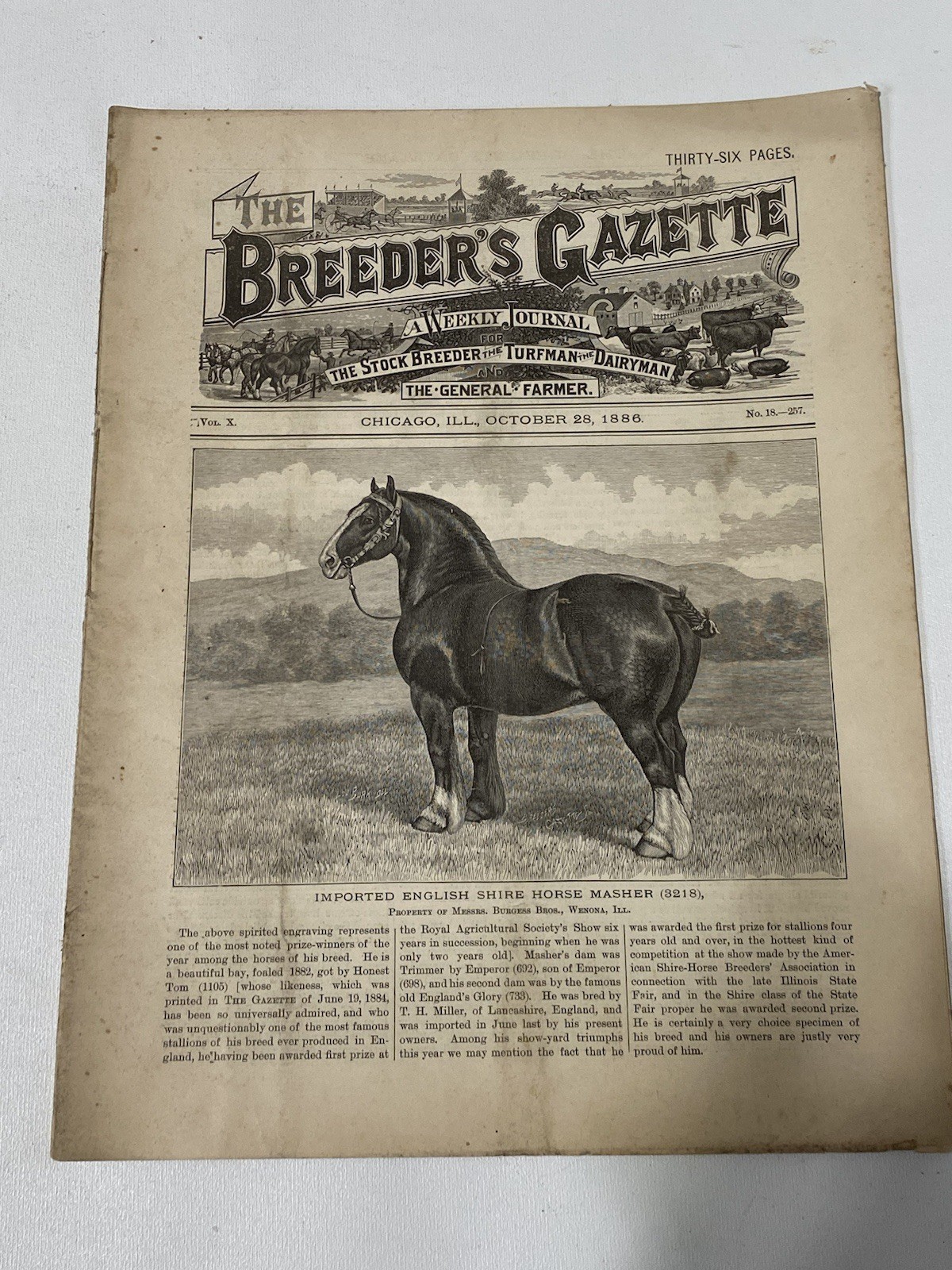 Vtg 1886 October Breeders Gazette Shire Horse Steer Pigs Cow Bull Advertisements