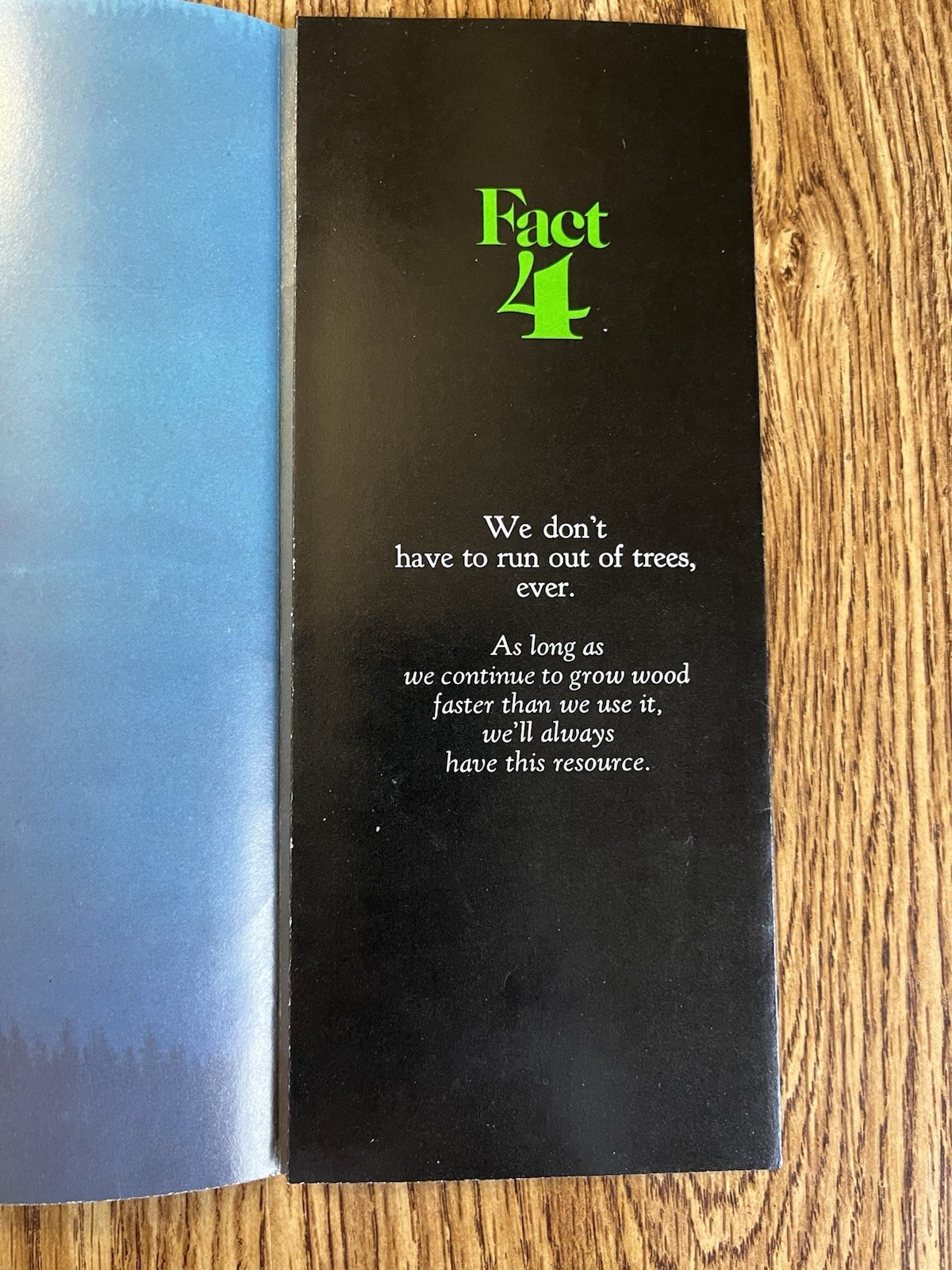 1970s American Forest Institute Vintage Brochure Forest Industry Management