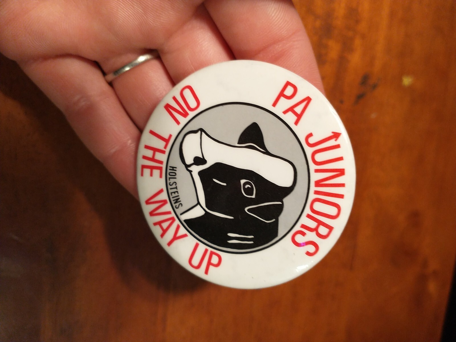 Vintage pinback button PA Juniors On The Way Up Holsteins pin black white red