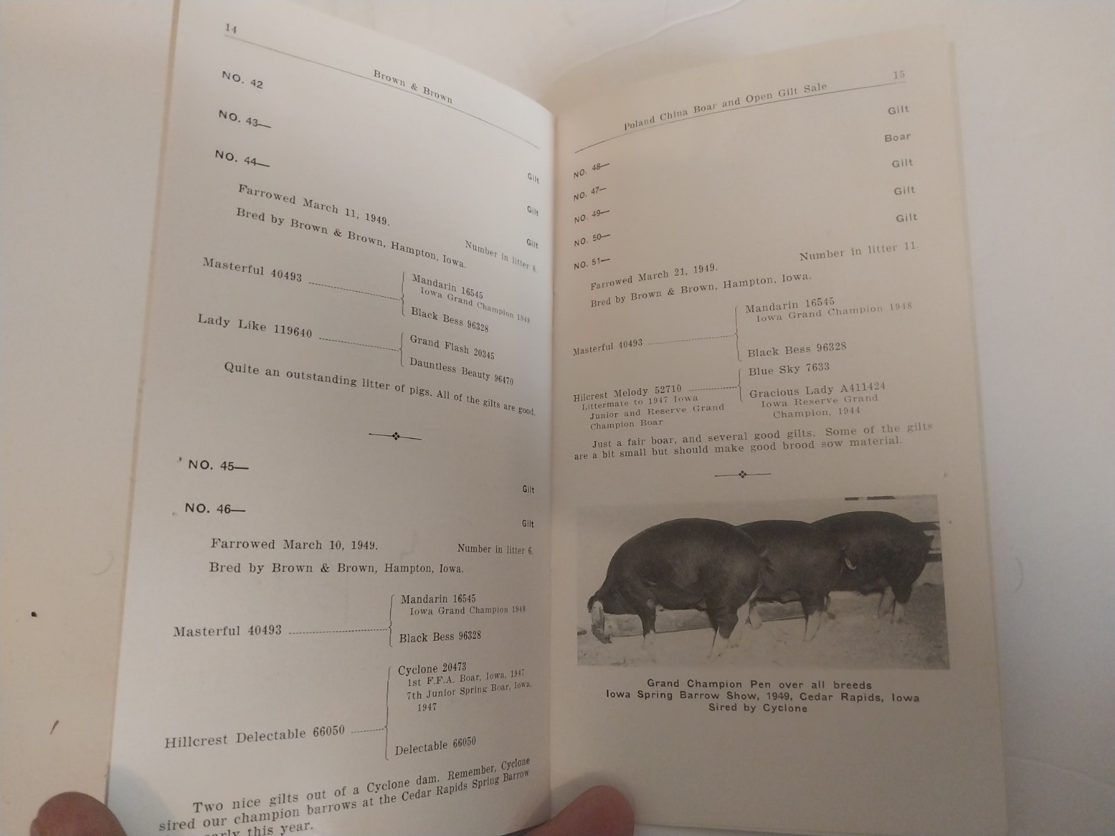 Brown & Brown – Poland China boar & gilt sale brochure 10/12/1949 Hampton, Iowa